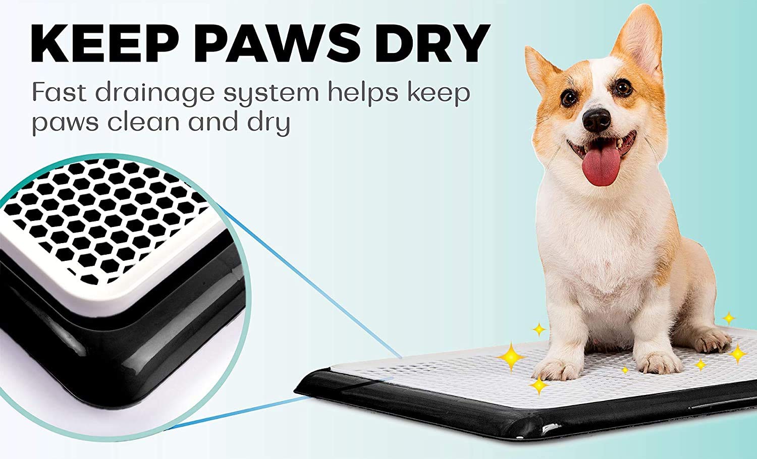Qpets 19.7x14.2inch Pee Pads for Dogs, Dog Potty Tray, Puppy Pee Pad Holder, Plastic Dog Pet Potty Indoor Training Toilet for Small Dogs, Keep Paws Dry and Floor Clean (Blue) Qpets 19.7x14.2inch Pee Pads for Dogs, Dog Potty Tray, Puppy Pee Pad Holder, Plastic Dog Pet Potty Indoor Training Toilet for Small Dogs, Keep Paws Dry and Floor Clean (Blue)
